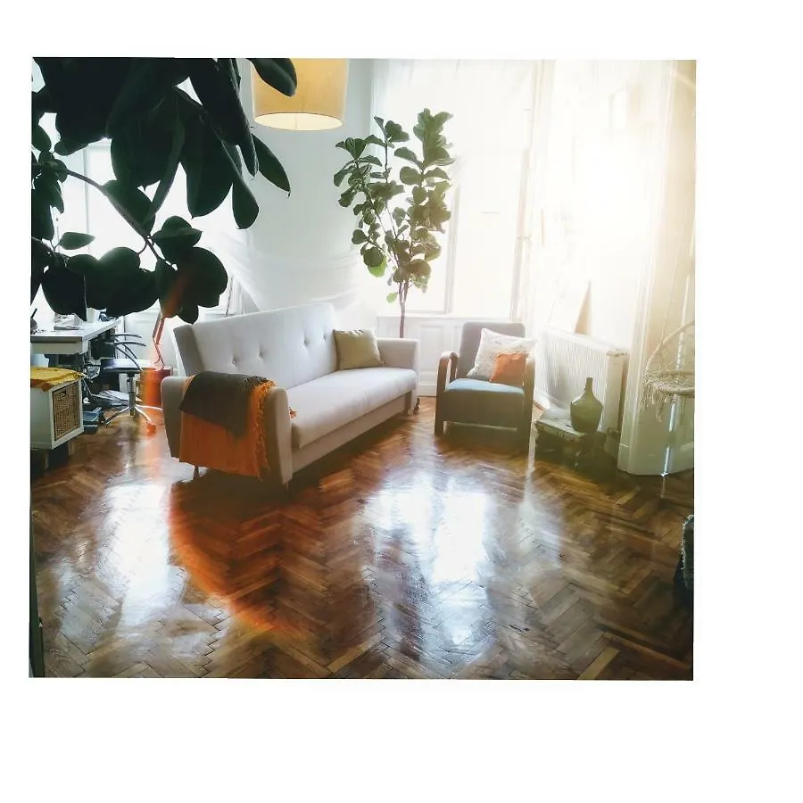 Jolie Apartment In Historical Center Budapest 0*,