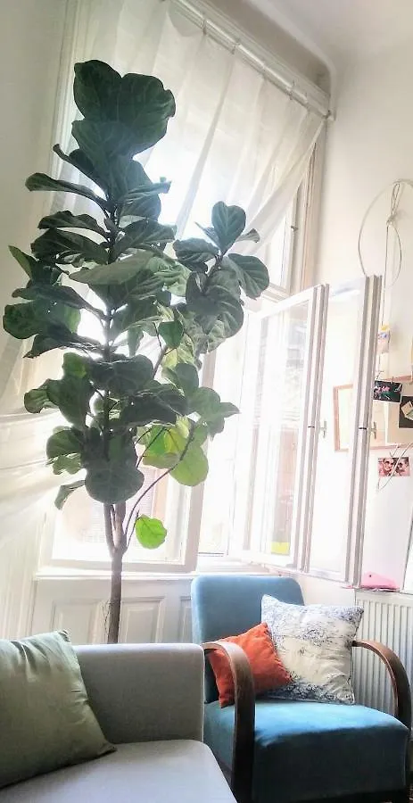 Jolie Apartment In Historical Center Βουδαπέστη